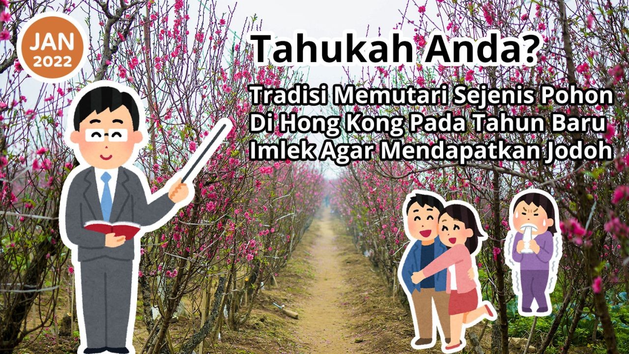 Tahukah Anda? Tradisi Memutari Sejenis Pohon Di Hong Kong Pada Waktu Imlek Untuk Mendapat Jodoh