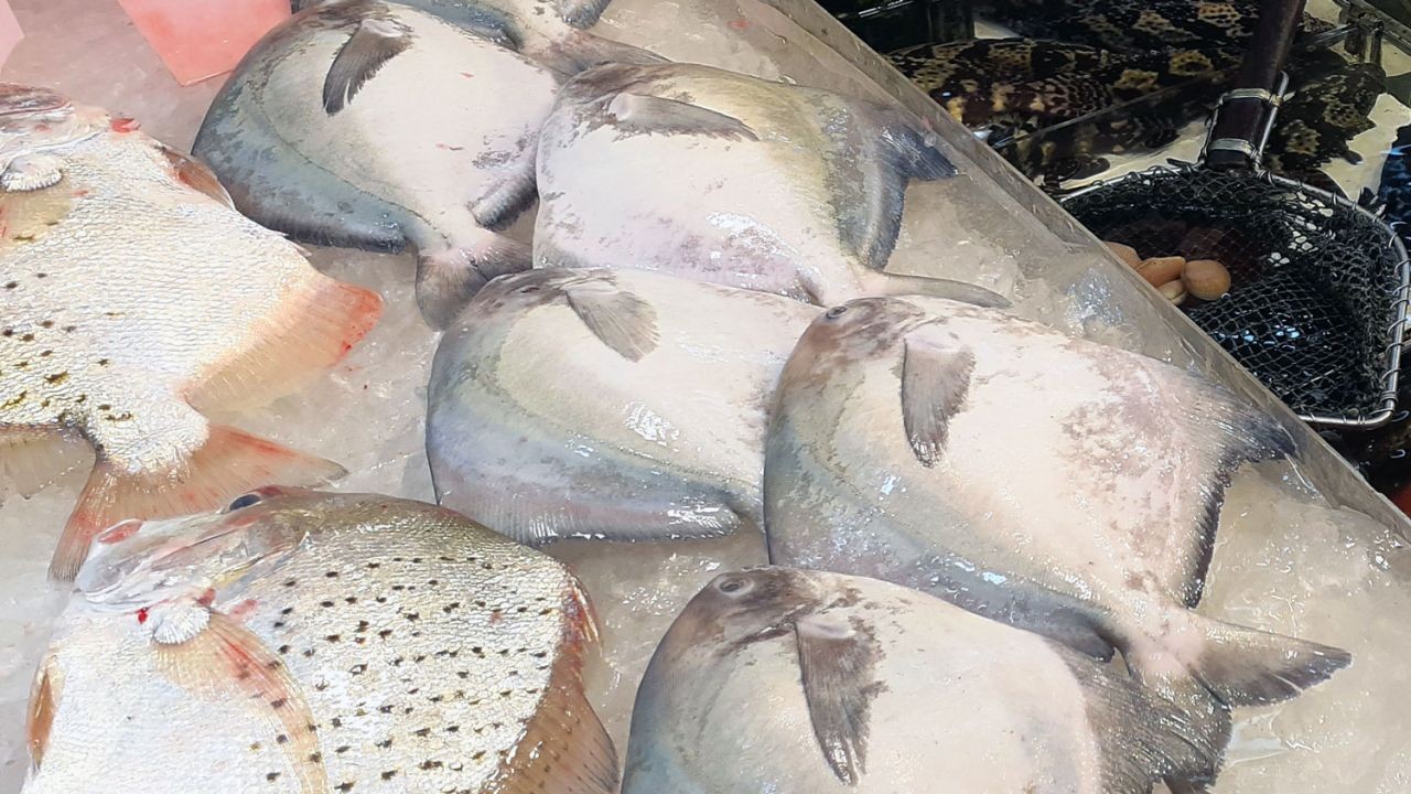 4 Pasar Lain Menjual Ikan Bawal Satu Sumber Dengan Ikan Yang Terkontaminasi Virus Covid-19 Yang Ditemukan Di Pasar To Kwa Wan. Penjual Dan Pembeli 4 Stan Tersebut Harus Tes PCR